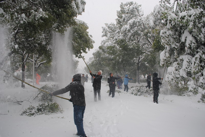 淮南師范學院召開抗雪防災工作會議，加強校園安全工作