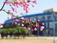 東華大學師范學院延安路校區2023年排名