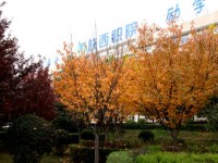 陜西職業(yè)技術(shù)師范學(xué)院2023年招生錄取分?jǐn)?shù)線(xiàn)