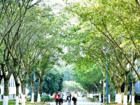 柳州城市職業師范學院2023年招生錄取分數線