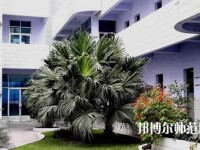 四川信息工程幼兒師范學(xué)校2023年報(bào)名條件、招生要求、招生對(duì)象