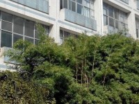 貴州貴陽中山科技幼兒師范學(xué)校2023年學(xué)費(fèi)、收費(fèi)多少