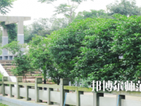德陽通用電子科技幼兒師范學校2021年報名條件、招生要求、招生對象