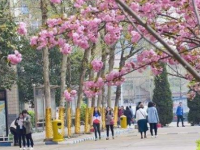 石家莊法商幼兒師范中等專業學校2023年學費、收費多少
