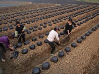 四川興文縣職業(yè)技術(shù)幼兒師范學校2023年地址在哪里