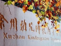 徐州幼兒師范高等專科學校有哪些專業