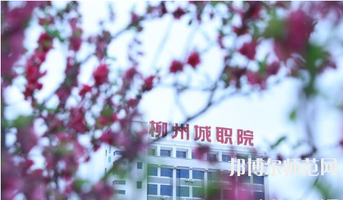柳州城市職業師范學院怎么樣、好不好