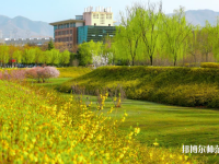 陜西2021年幼師學校哪個專業比較好