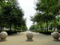 廣西現代職業技術師范學院2023年報名條件、招生要求、招生對象
