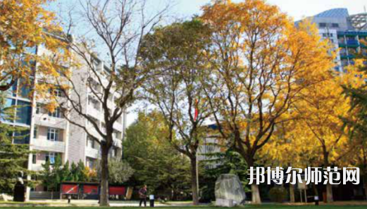 北京青年政治師范學院2023年有哪些專業