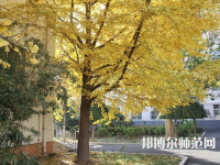 北京京北職業師范技術學院2023年報名條件、招生要求、招生對象