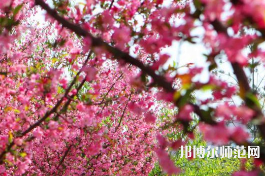 鄭州大學(xué)師范學(xué)院主校區(qū)2023年報名條件、招生要求、招生對象