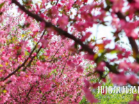 鄭州大學(xué)師范學(xué)院主校區(qū)2023年報(bào)名條件、招生要求、招生對(duì)象