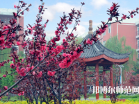 駐馬店師范職業(yè)技術(shù)學(xué)院2023年報(bào)名條件、招生要求、招生對(duì)象