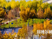 河南理工師范大學(xué)北校區(qū)2023年報(bào)名條件、招生要求、招生對(duì)象