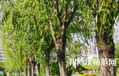 南陽理工師范學(xué)院2023年報(bào)名條件、招生要求、招生對象