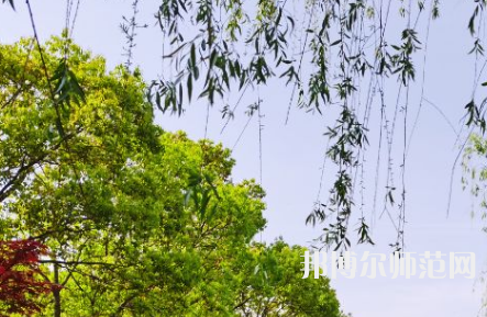 南陽理工師范學(xué)院2023年報(bào)名條件、招生要求、招生對象