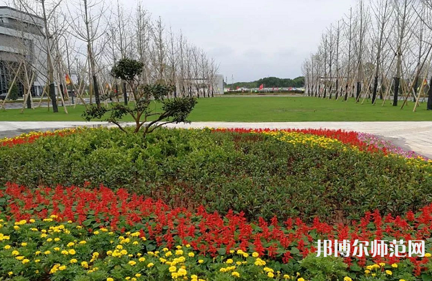 浙江師范大學行知學院蘭溪校區2023年招生代碼