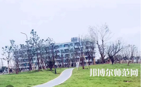 浙江師范大學行知學院蘭溪校區2023年招生代碼