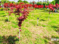 漢中職業技術師范學院2023年怎么樣、好不好
