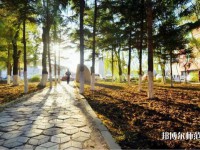 長春大學師范學院主校區2023年報名條件、招生要求、招生對象