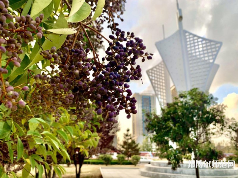 煙臺理工師范學院2023年有哪些專業 
