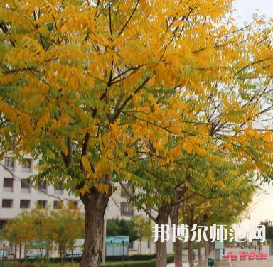 延川幼師職教中心2023年學費、收費多少