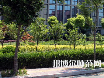 安陽幼兒師范高等?？茖W校2023年有哪些專業