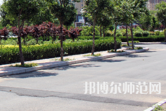 安陽幼兒師范高等?？茖W校2023年有哪些專業