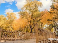 長(zhǎng)春理工師范大學(xué)西校區(qū)2023年招生辦聯(lián)系電話(huà)