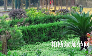 信陽師范學院2023年有哪些專業