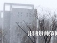 焦作師范高等?？茖W校2023年招生代碼