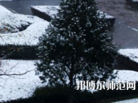 焦作師范高等專科學(xué)校2023年報(bào)名條件、招生要求、招生對(duì)象