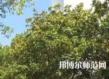 湖南理工師范學院南湖學院2023年怎么樣、好不好