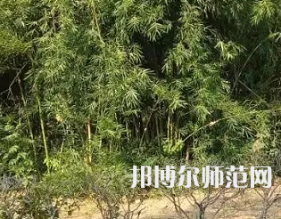 湖南理工師范學院南湖學院2023年怎么樣、好不好