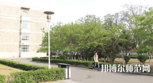 遼寧大學師范學院崇山校區2023年有哪些專業