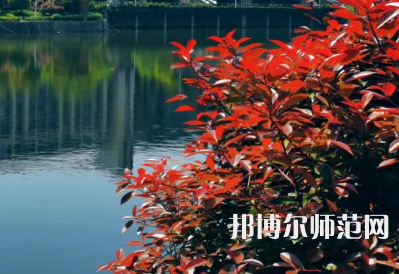 南華大學船山師范學院雨母校區(qū)2023年報名條件、招生要求、招生對象