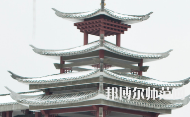 湖南民族職業師范學院2023年招生代碼