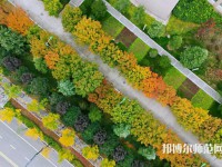 咸陽職業技術師范學院2023年招生代碼