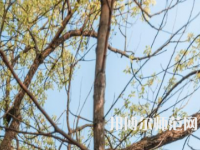 湖南大學師范學院南校區2023年怎么樣、好不好