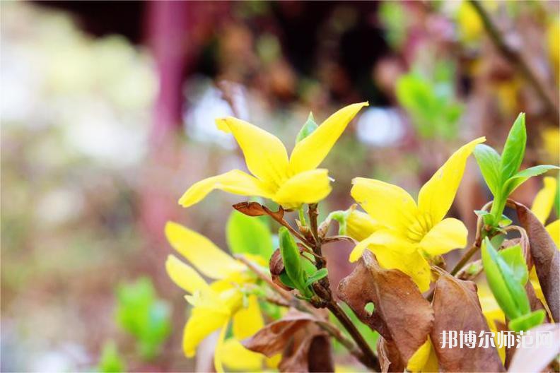 海南師范大學(xué)2023年報(bào)名條件、招生要求、招生對(duì)象 
