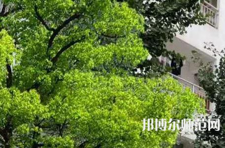 西安工業科技技術幼師學校2023年招生辦聯系電話
