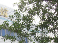 湖南師范大學樹達學院2023年怎么樣、好不好