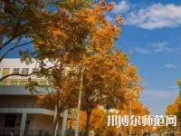 南京師范大學泰州學院2023年報名條件、招生要求、招生對象