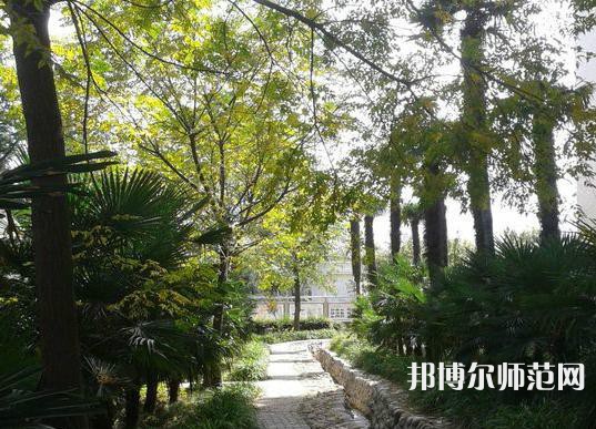 西北大學師范學院桃園校區2023年怎么樣、好不好