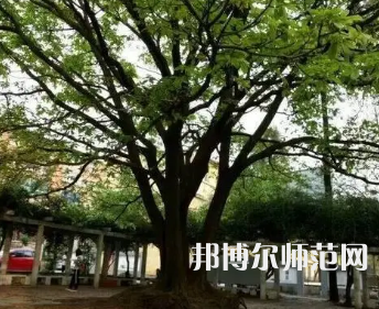 2023年興義民族師范學院電子科學與技術專業介紹
